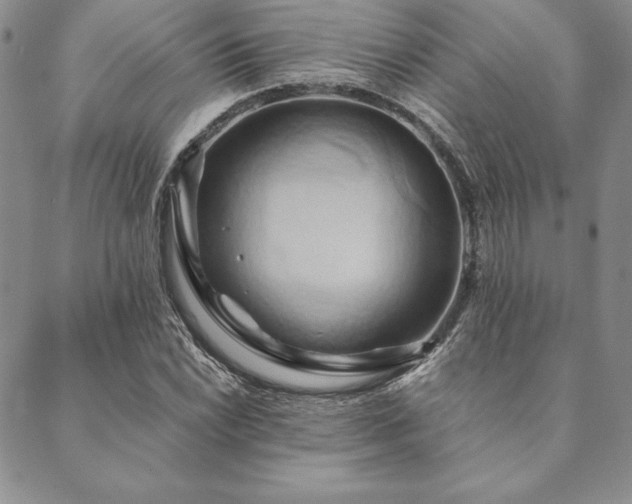 X0000090491022200707131322