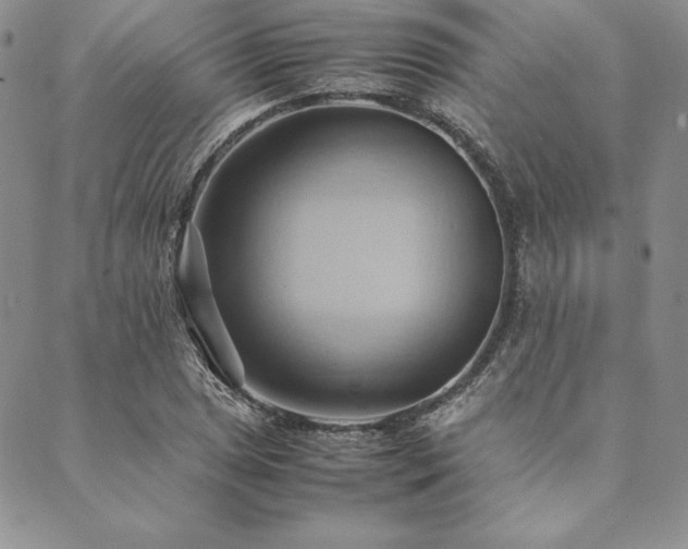X0000090491025200707131322