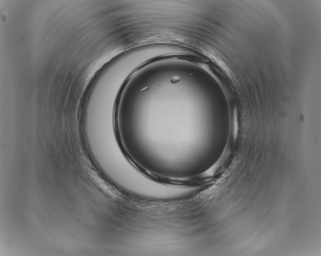 X0000090491026200707131322