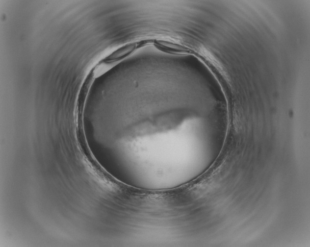 X0000090491028200707131322
