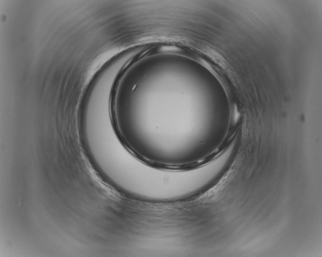 X0000090491030200707131322