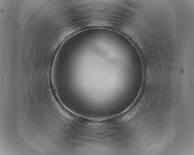 X0000090491033200707131322