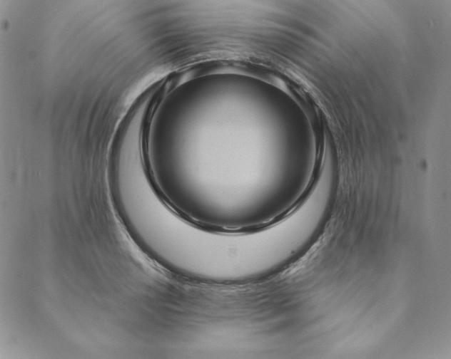 X0000090491034200707131322