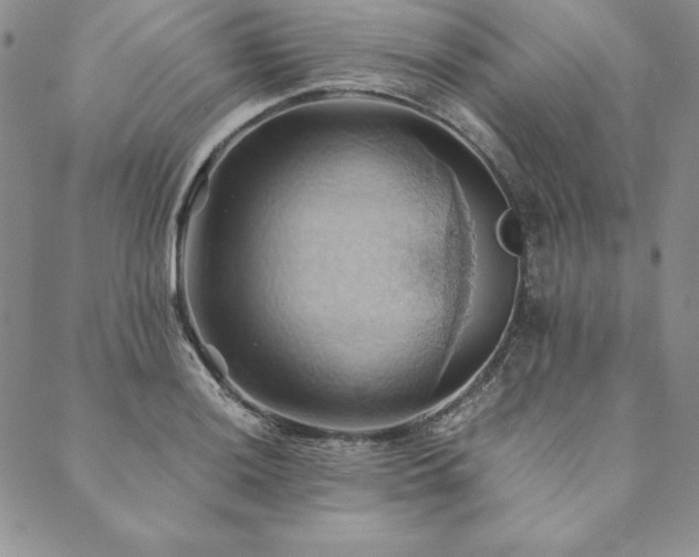 X0000090491036200707131322
