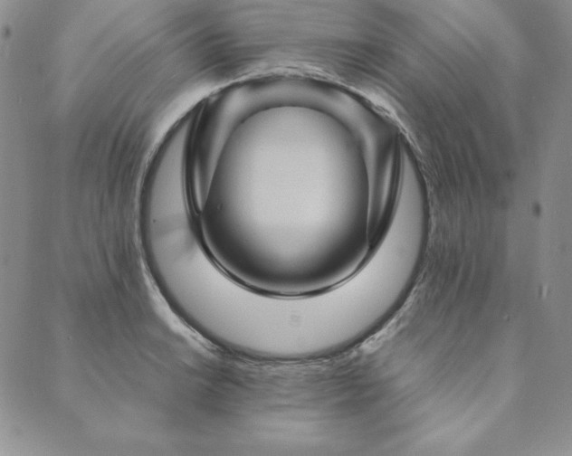 X0000090491038200707131322