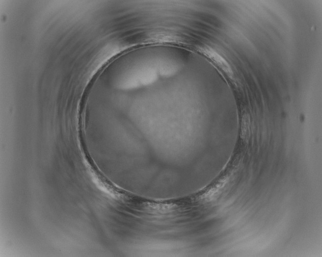 X0000090491039200707131322