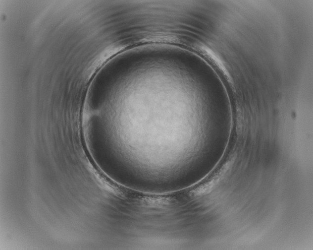 X0000090491041200707131322