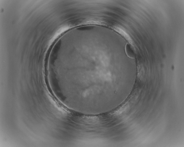 X0000090491043200707131322