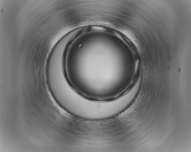 X0000090491046200707131322