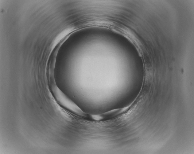 X0000090491050200707131322