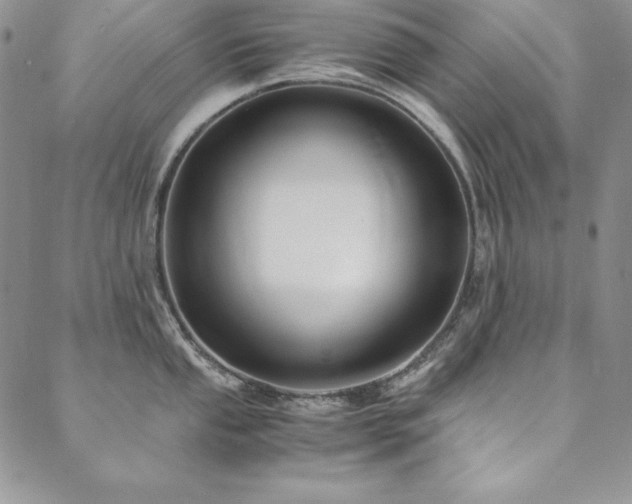 X0000090491053200707131322