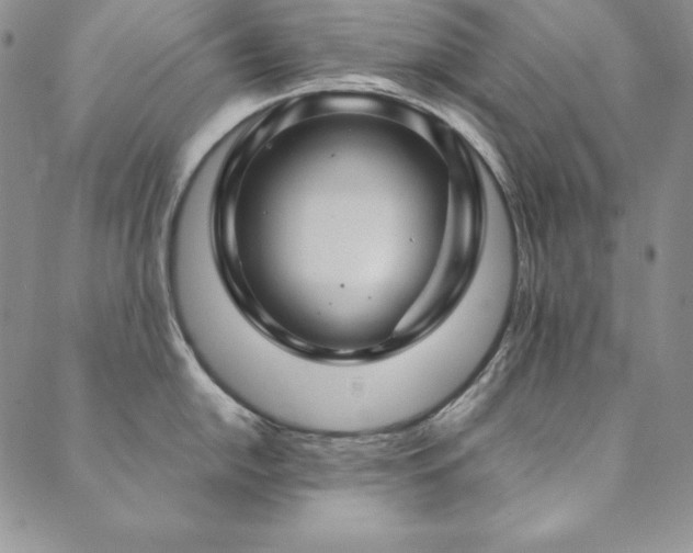 X0000090491054200707131322
