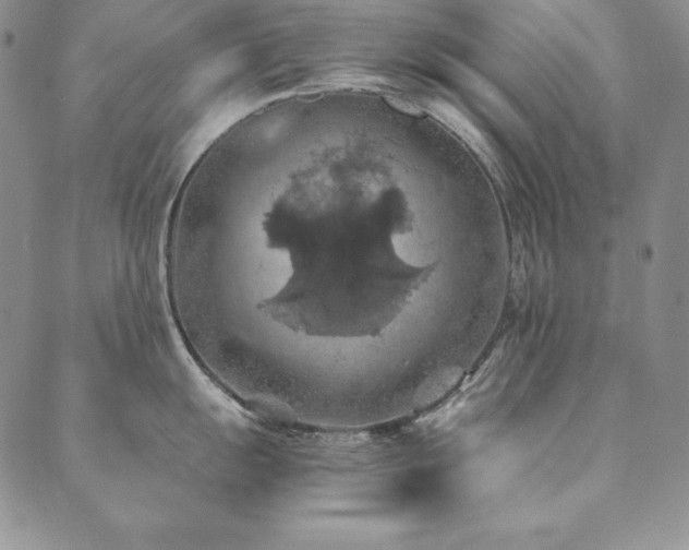 X0000090491055200707131322