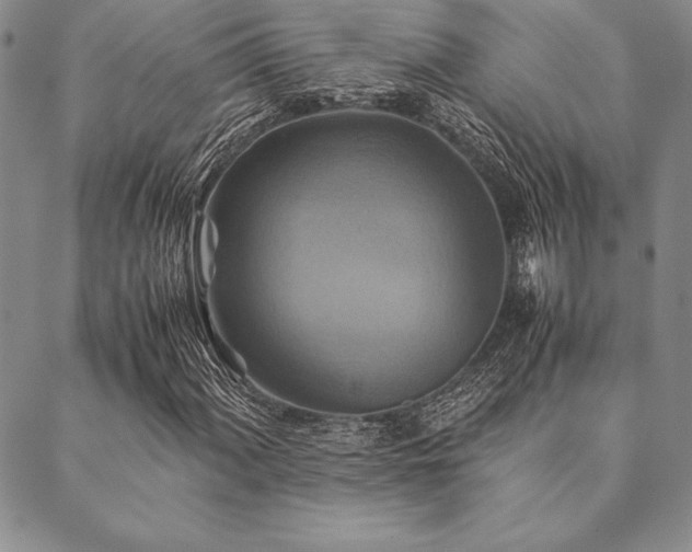 X0000090491060200707131322