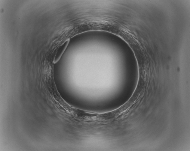 X0000090491061200707131322