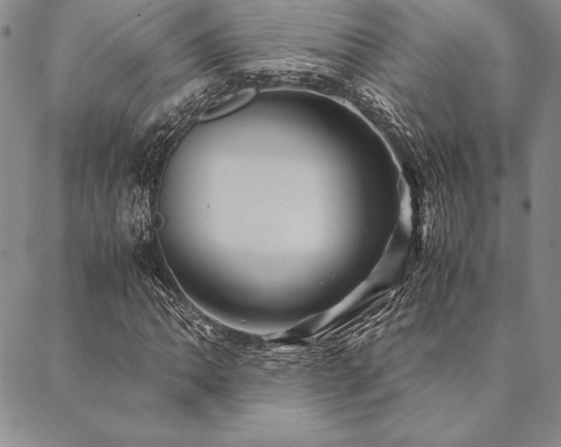 X0000090491062200707131322