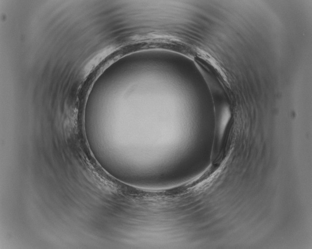 X0000090491066200707131321