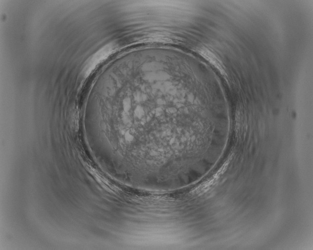 X0000090491067200707131321