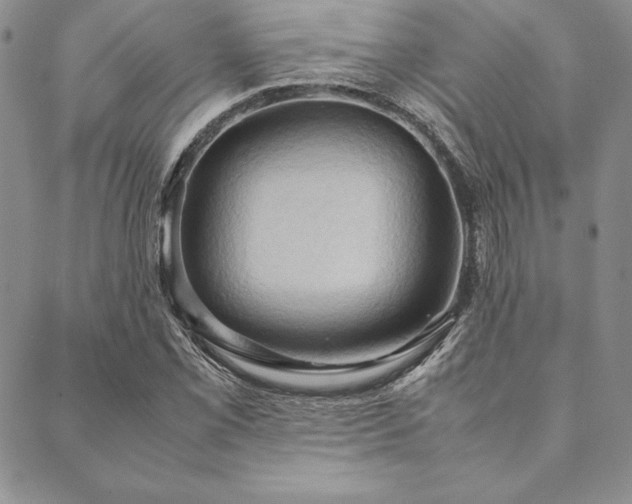 X0000090491069200707131321