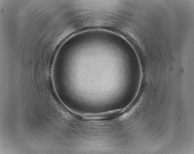 X0000090491073200707131321
