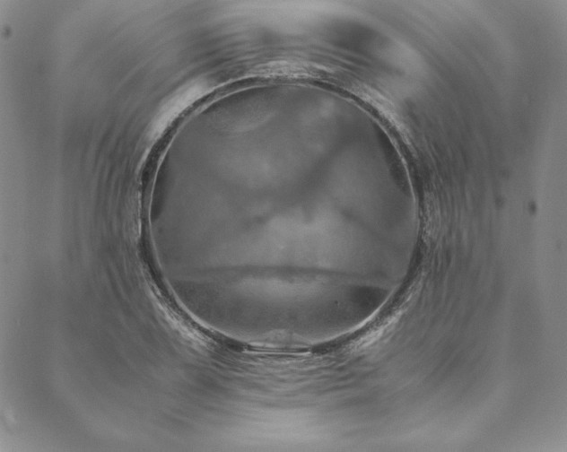 X0000090491075200707131321