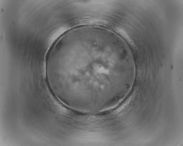X0000090491079200707131321