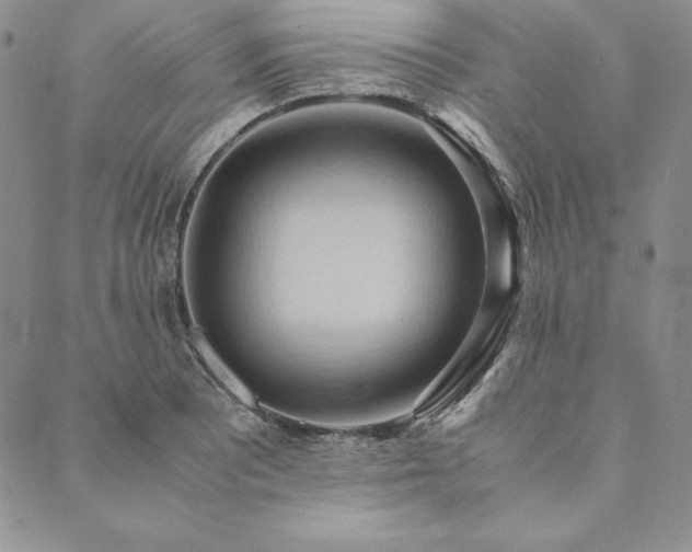 X0000090491081200707131321