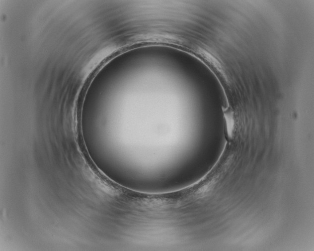 X0000090491082200707131321