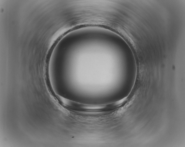 X0000090491085200707131321