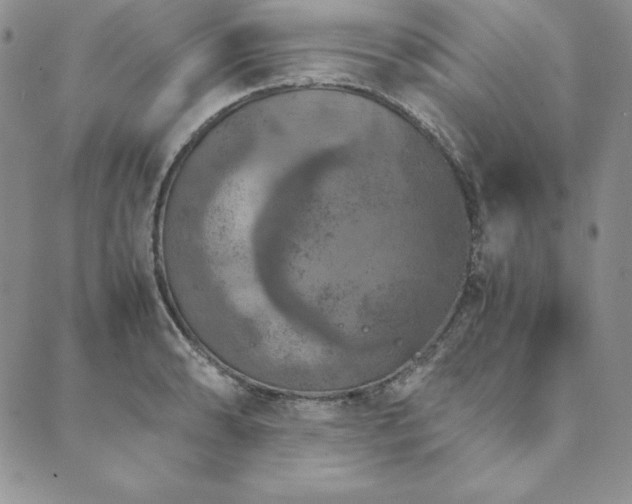 X0000090491086200707131321
