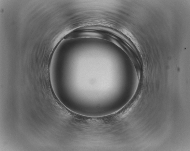 X0000090491089200707131321