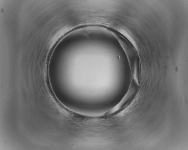 X0000090491093200707131321