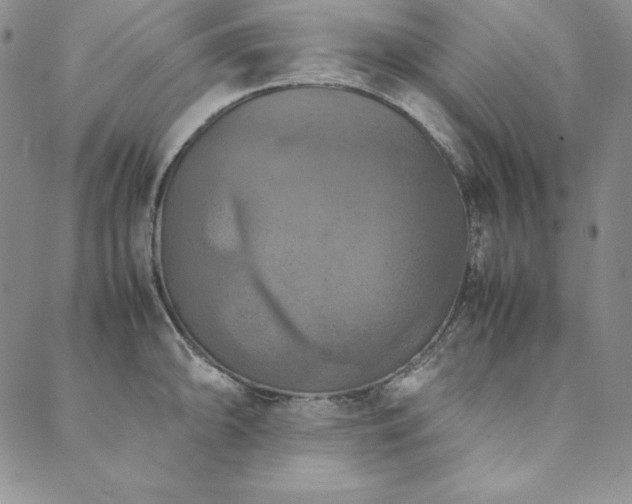 X0000090491094200707131321
