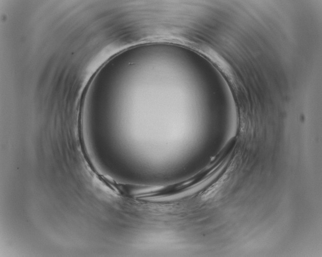 X0000090491102200707131321