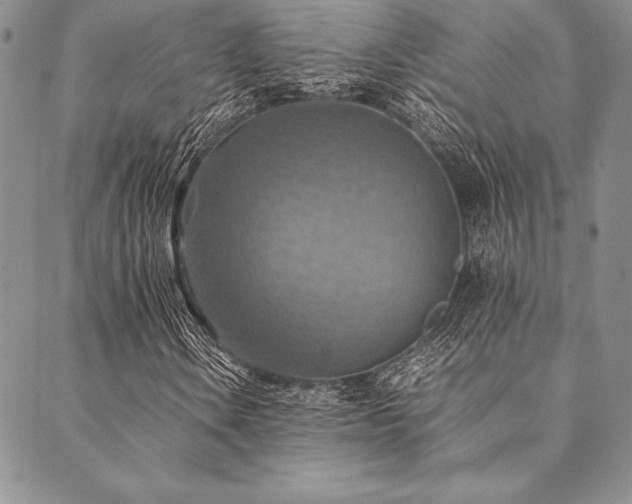 X0000090491106200707131320
