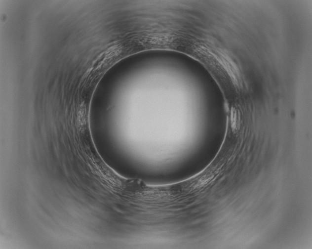 X0000090491107200707131320