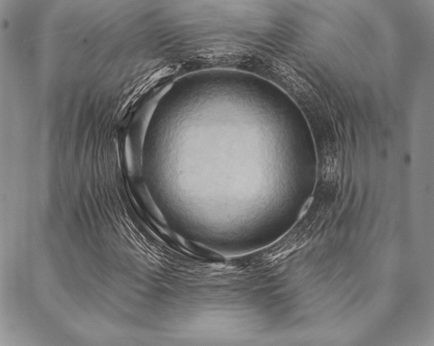 X0000090491108200707131320