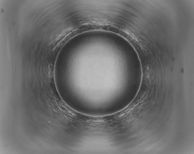X0000090491110200707131320