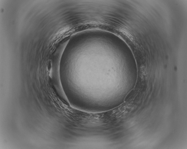 X0000090491111200707131320