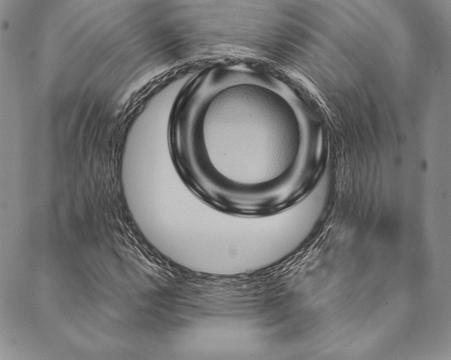 X0000090491112200707131320