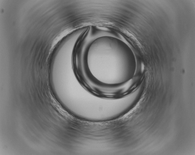 X0000090491114200707131320