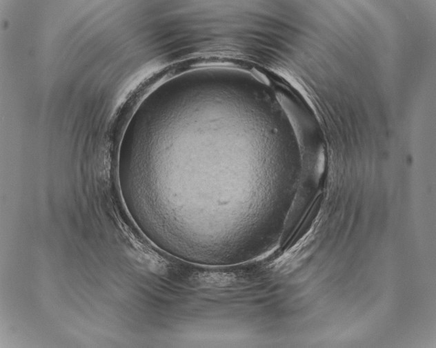 X0000090491115200707131320