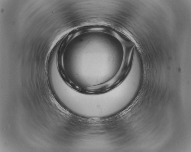 X0000090491116200707131320