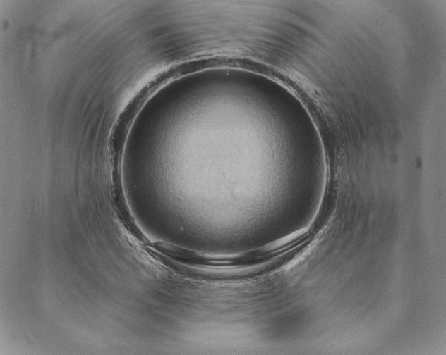 X0000090491118200707131320