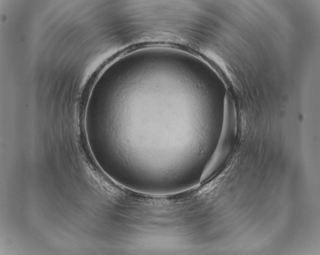 X0000090491120200707131320