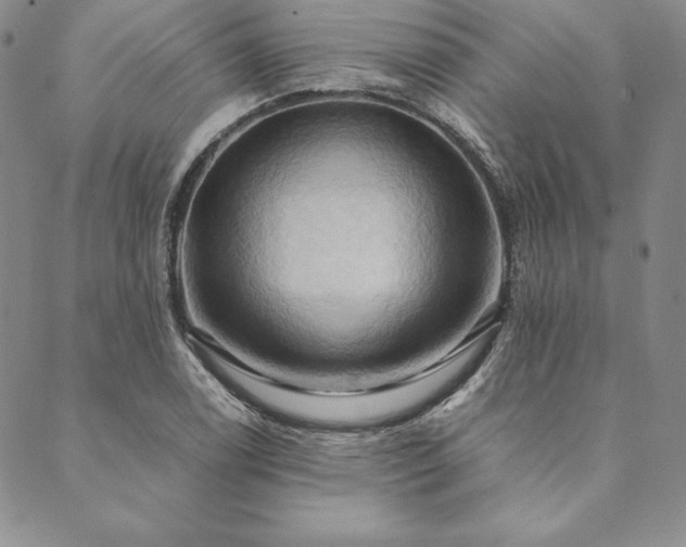 X0000090491122200707131320