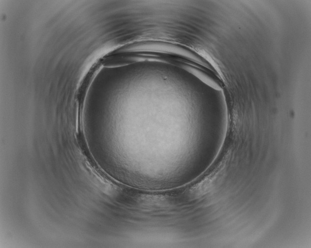 X0000090491123200707131320