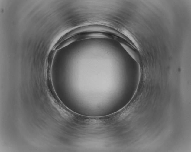 X0000090491124200707131320