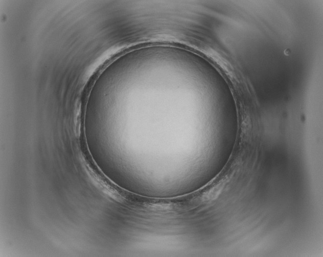 X0000090491126200707131320