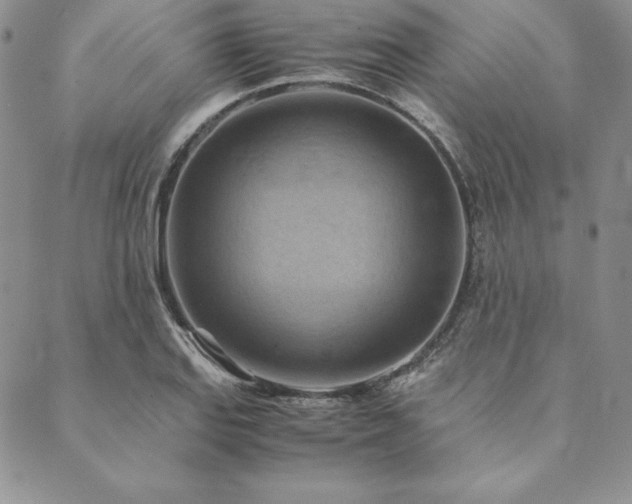 X0000090491127200707131320